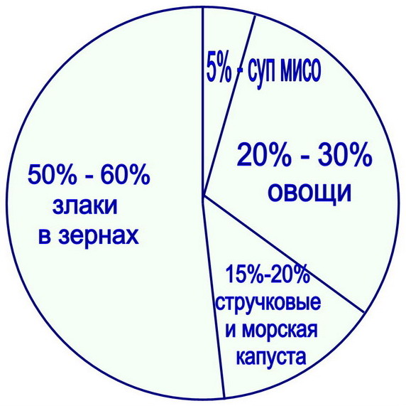 быстрая и эффективная диета в любом возрасте